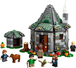 LEGO® Harry Potter™ 76428 Hagrids huisje: onverwacht bezoek