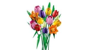 LEGO® Botanicals 11501 Boeket met tulpen