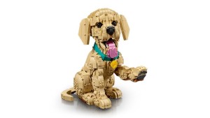 LEGO® Icons 11384 Golden Retriever Puppy