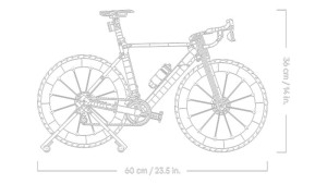 LEGO® Icons 11380 Racefiets