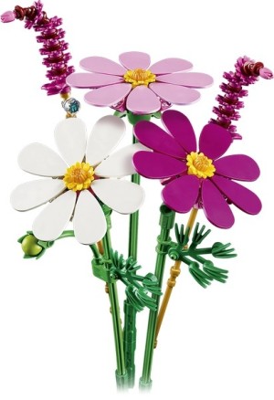 LEGO® Botanicals 11514 Cosmeabloemen